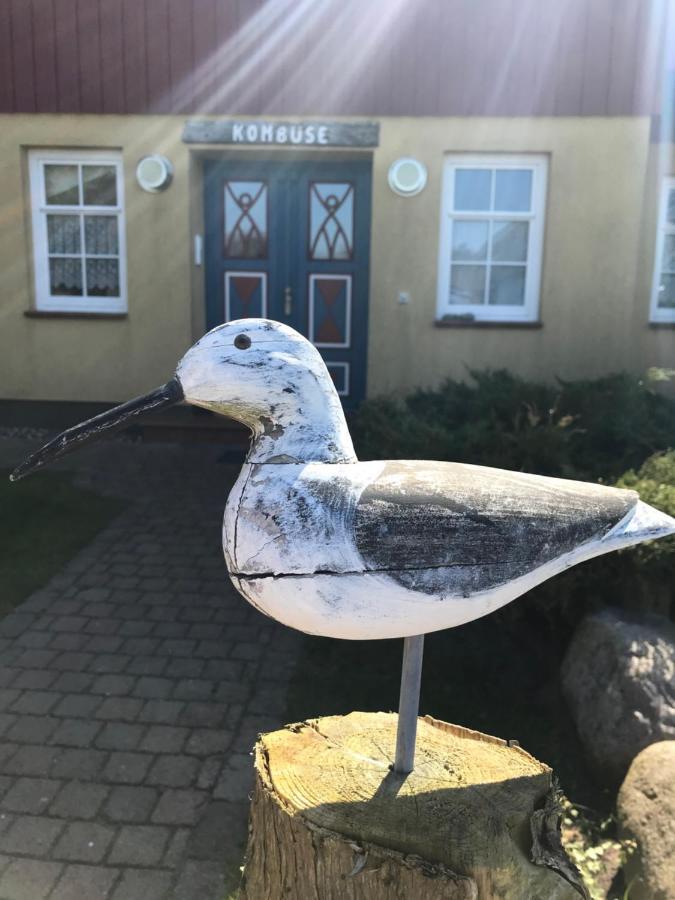 "Steuermannskammer" By Ferienhaus Strandgut Born Kültér fotó